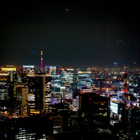 ザ タヴァン グリル＆ラウンジ - 店内からの景色♪