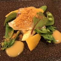 Restaurant つじ川 - 
