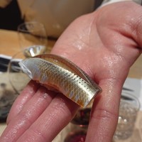 紀尾井町 三谷 - 