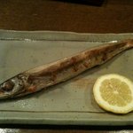 酒と器 くるま - カマスの塩焼き