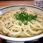 さぬき麺市場 - かけうどん 中
            ガッツリ2玉頂いちゃいます