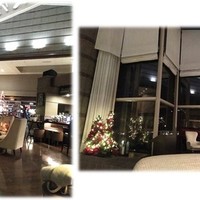 Lounge & Dining G - 