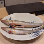 味あら井 - 超希少なアオギス