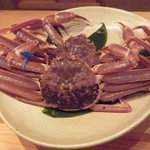 魚菜料理 縄屋 - 2011年11月