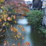 カフェ・ドン バイ スフェラ - 2011年12月　近くを流れる白川も秋！！