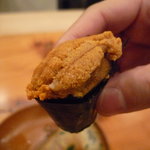 森しげ - ☆まったりで美味しいウニちゃんです☆