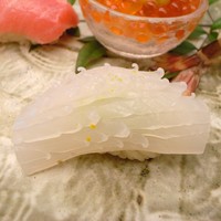 やま中・本店　鮨と日本料理　 - あおり烏賊