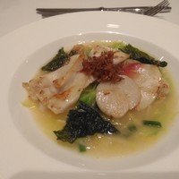 カントニーズ 燕 - 