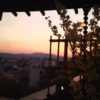 日本料理 花菊 - 