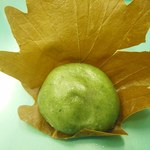 和菓子処 大角玉屋 - 柏餅　つぶ餡