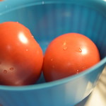 からあげ&弁当 トリとん - 