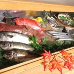 Makurou - 鮮魚
