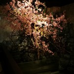 ROBATA 魚一心 - 内観