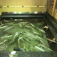 博多料亭 稚加榮 - 