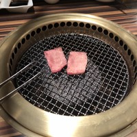 東京焼肉 平城苑 銀座5丁目店 - 