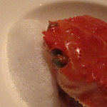 ラ・ターブル・ド・プロヴァンス - 赤い宝石箱とも言われる香箱蟹(ズワイガニの雌)だそうです。甲羅を取り外すと、カニの風味たっぷりのリゾット。