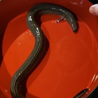 炭焼鰻 寝床 福島店 - 