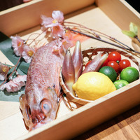 のどぐろ専門 銀座 中俣 - のごぐろ☆