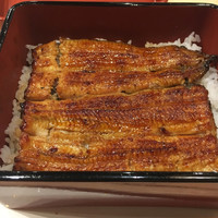 うなぎ割烹 白金台 まつ本 - 特３８００円（一尾）