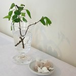 フルーツサンドウィッチ オハラ - 