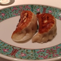 TexturA - 餃子