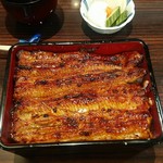 うなぎ 魚政 - 無加温うなぎ特上