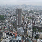 天空の庭　星のなる木 - 