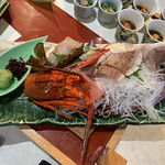 天空の庭　星のなる木 - 