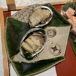 天空の庭　星のなる木 - 