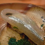 森しげ - ☆サヨリちゃんはキラッとしているのが好きです☆