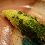 森しげ - ☆〆はカイワレちゃんです☆