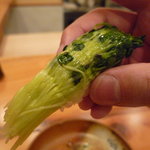 森しげ - ☆シャクシャク＆ちょっぴりツゥーンですぅ☆