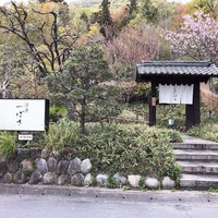 洋食 つばき - 