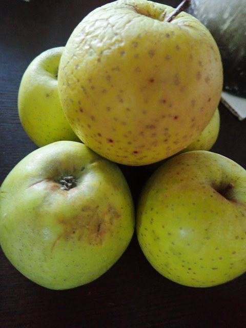 障害福祉サービス事業所 ほうゆう（社会福祉法人幸生会　ほうゆう） - 仙台市泉区その他（その他）の写真