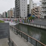 祥龍房刀削麺荘 - スカイツリーの下には鯉のぼり！　GW期間中だけ。