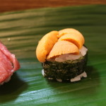 すしぎん - トロ、うに
