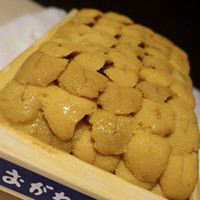 祇園 さゝ木 - 