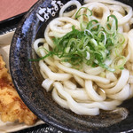 Hanamaru Udon - 