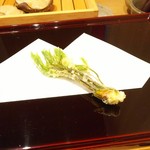 天ぷら たけうち - こしあぶら