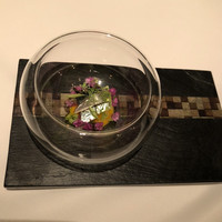 コンヴィヴィアリテ - 