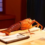 菊鮨 - 在りし日の伊勢海老