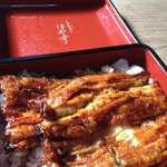 川魚料理 はや幸 - 鰻重 松