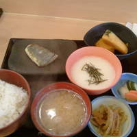 季節料理 姿 - とろろ御飯定食900円。とろろ・きんぴら・南瓜の煮物・漬物・さば塩焼き・御飯・味噌汁です。