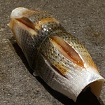 寿し おおはた - 