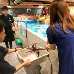 ジャンボ釣船 つり吉 - 