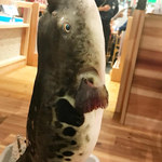 ジャンボ釣船 つり吉 難波店 - 