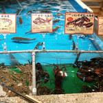 ジャンボ釣船 つり吉 - 