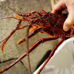 ジャンボ釣船 つり吉 難波店 - 