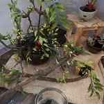 アートカフェ サクラ - 