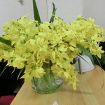 中華そば 紅蘭 - 